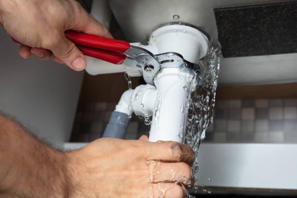 Best Flood damage cleanup  in Bartow, FL