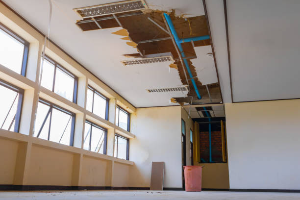 Best Ceiling water damage repair  in Bartow, FL