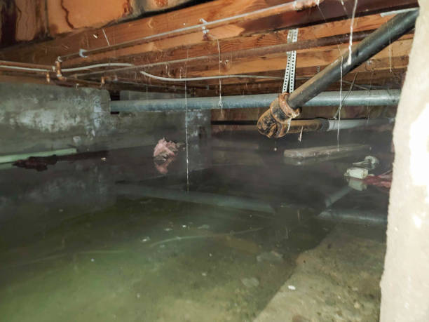 Best 24-hour water damage restoration  in Bartow, FL