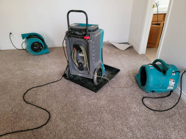 Best Local water damage restoration  in Bartow, FL