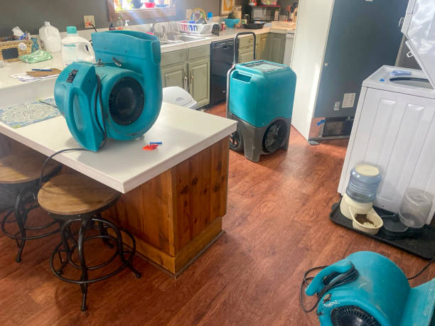 Best Carpet water damage restoration  in Bartow, FL