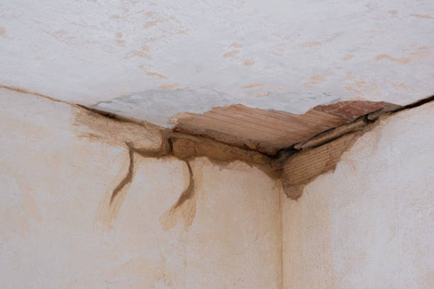 Best Residential water damage restoration  in Bartow, FL