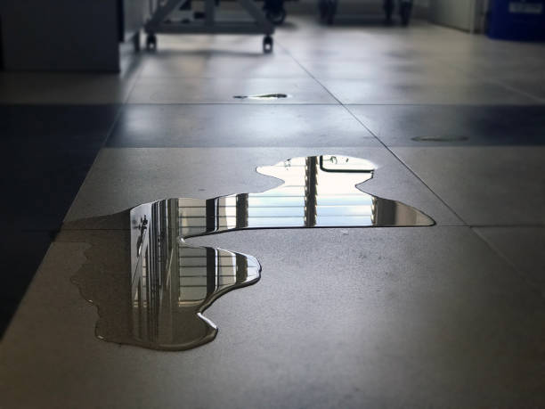 Best 24/7 water damage repair  in Bartow, FL