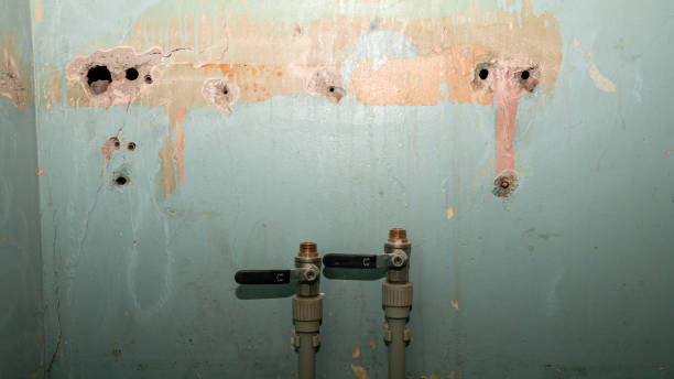 Best Fire Damage Restoration  in Bartow, FL