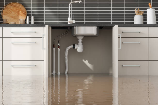 Best Water damage contractors near me  in Bartow, FL