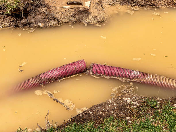 Best Flood restoration services  in Bartow, FL